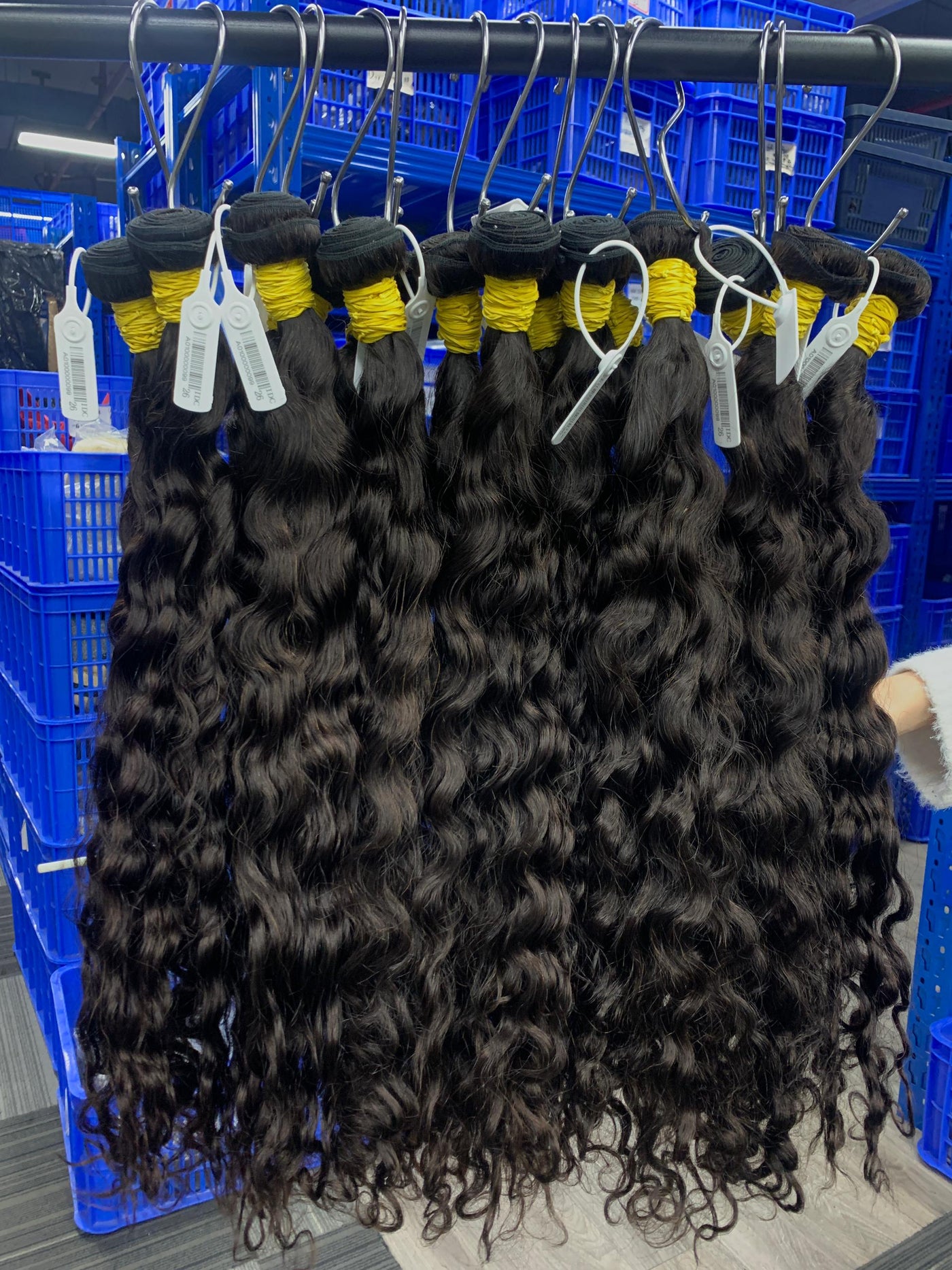 Indian big curl ( limited stock)